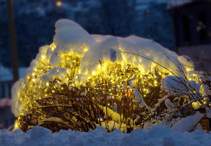 Obrázok diLED svetelná sieť - 100 LED teplá biela