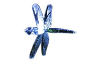 Záhradné solárne dekoratívne LED osvetlenie - Vážky 24 LED diód