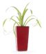 Samozavlažovací kvetináč G21 Linea mini červený 14cm