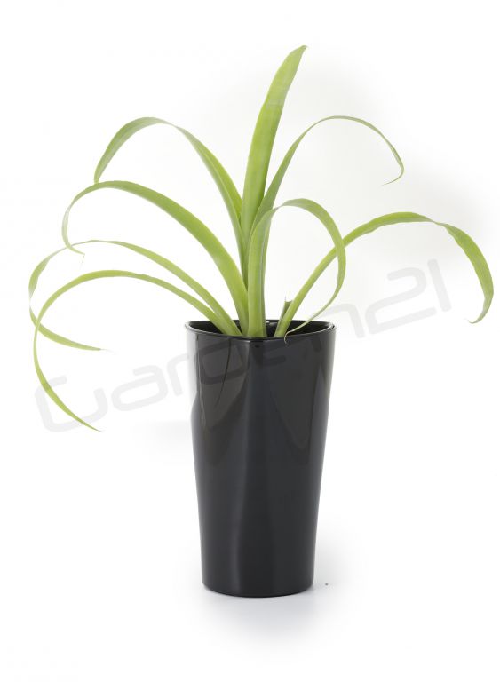 Obrázok Samozavlažovací kvetináč G21 Trio mini čierny 15cm