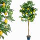 Umelý strom - citrónovník 184 cm