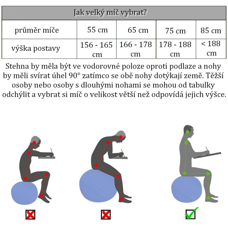 Obrázok MOVIT 54100 Gymnastický míč s pumpou - 85 cm - fialový