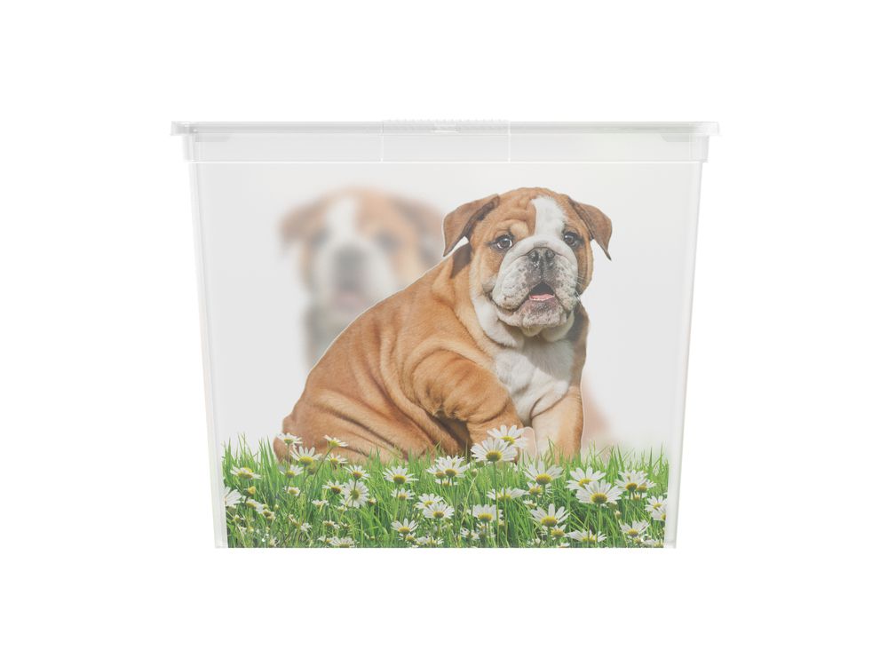 Obrázok KIS C-Box Puppy & Kitten XL 50 l na kolieskach (84180002057)