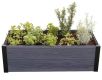 Keter Vyvýšený záhon MAPLE TROUGH - sivý
